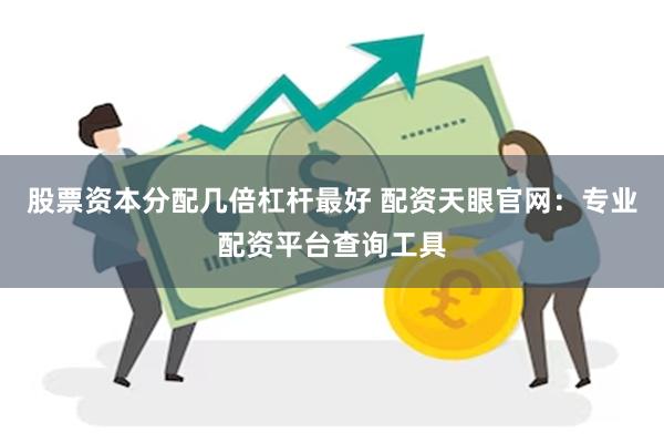 股票资本分配几倍杠杆最好 配资天眼官网：专业配资平台查询工具