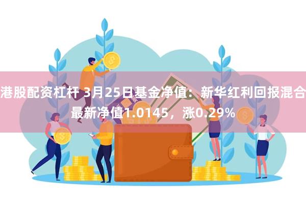 港股配资杠杆 3月25日基金净值：新华红利回报混合最新净值1.0145，涨0.29%