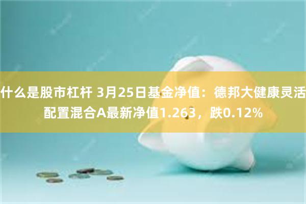 什么是股市杠杆 3月25日基金净值：德邦大健康灵活配置混合A最新净值1.263，跌0.12%