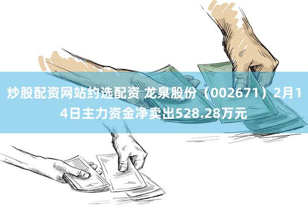 炒股配资网站约选配资 龙泉股份（002671）2月14日主力资金净卖出528.28万元