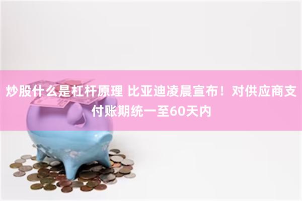 炒股什么是杠杆原理 比亚迪凌晨宣布！对供应商支付账期统一至60天内